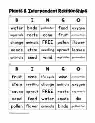 Plant Bingo 23-24